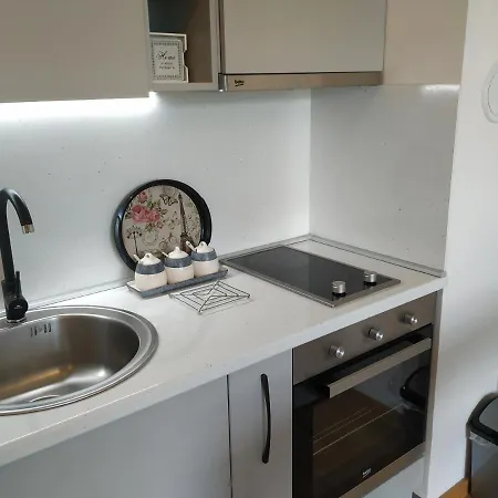 Bulevar & Free Garage Apartment